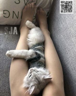 请吃饭的漂亮姐姐