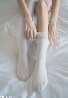 听风的蚕