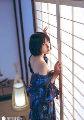 新上门女婿电视剧