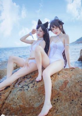 柳舟记张晚意电视剧免费观看
