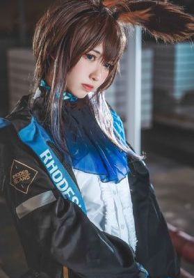 大地资源网在线观看免费节目
